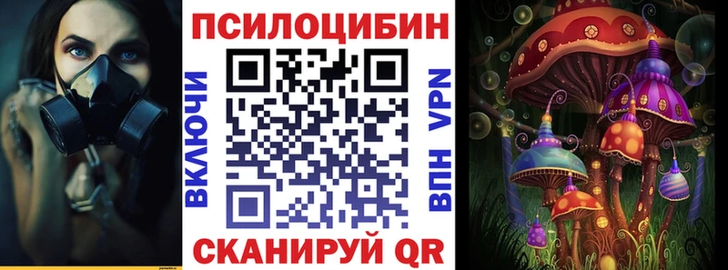 закладка  Кстово  Псилоцибиновые грибы Cubensis 