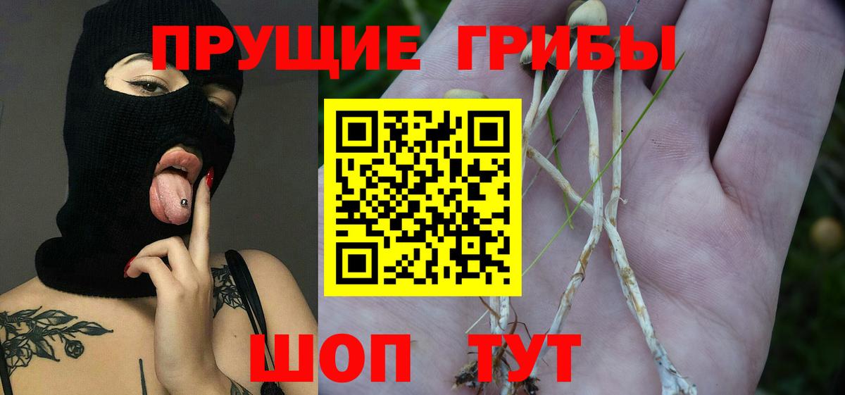 Галлюциногенные грибы MAGIC MUSHROOMS Кстово